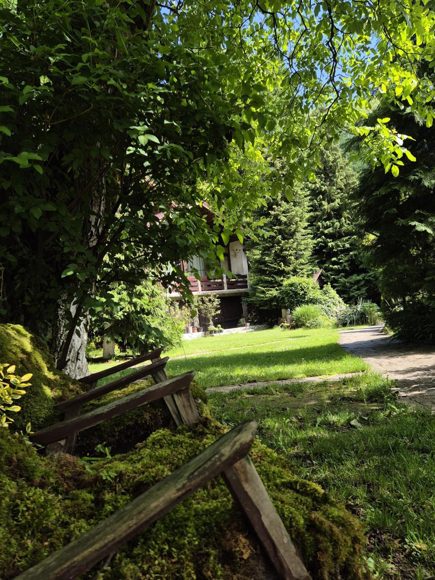 Pensiunea Dumbravita Hotel Râu de Mori Exterior photo