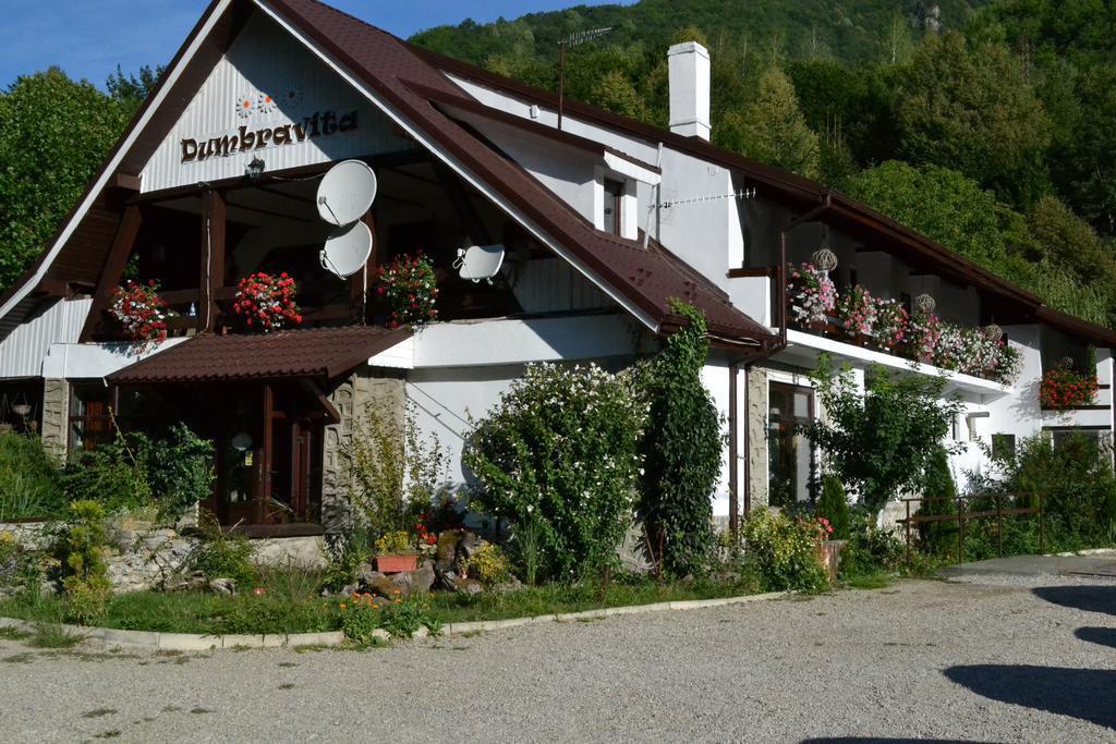 Pensiunea Dumbravita Hotel Râu de Mori Exterior photo