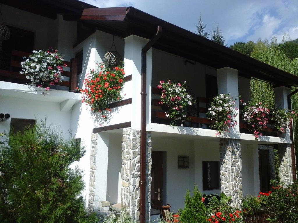 Pensiunea Dumbravita Hotel Râu de Mori Exterior photo